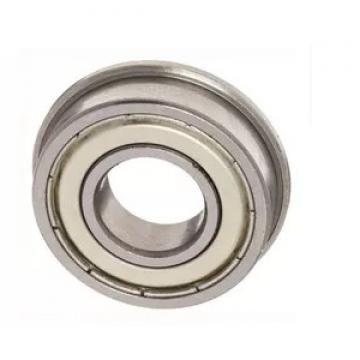 NSK High Quality Punched Outer Ring Needle Roller Bearing