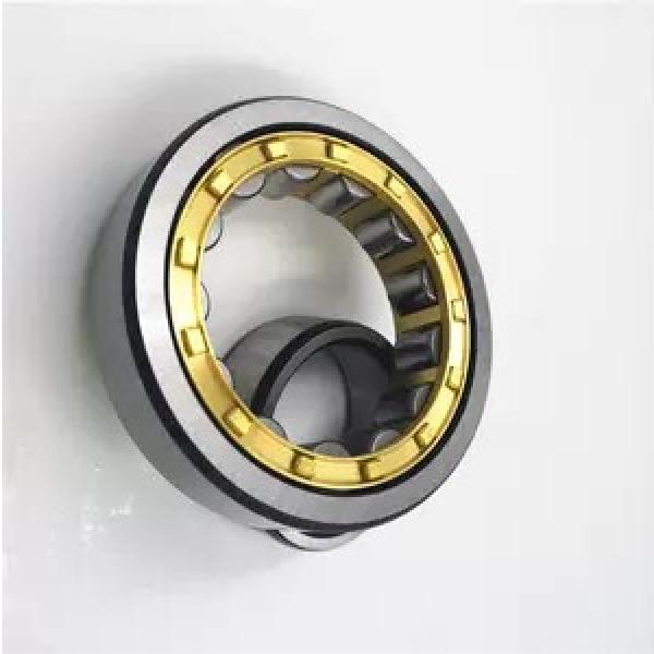 China Distributor Spherical/Cylindrical /Tapered/Metric Vibrating Screen Roller Bearing and Angular/Insert/Thrust/Pillow Block/Deep Groove Ball Bearing #1 image